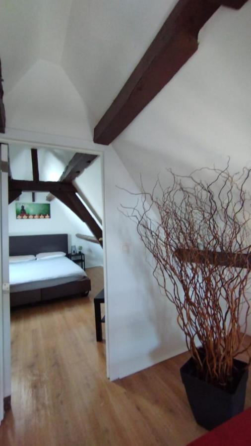 The 16Th Century Duplex In The City Center Leilighet Antwerpen Eksteriør bilde