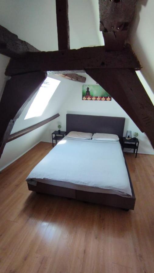 The 16Th Century Duplex In The City Center Leilighet Antwerpen Eksteriør bilde